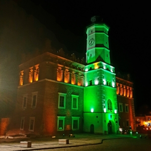 Dzień Św. Patryka w Sandomierzu -  akcja Global Greening