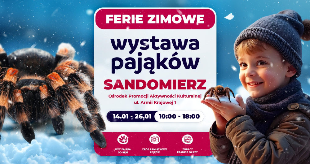 Wystawa pająków w Sandomierzu