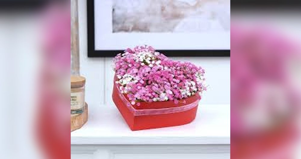 Serce pełne kwiatów – rodzinne warsztaty walentynkowe